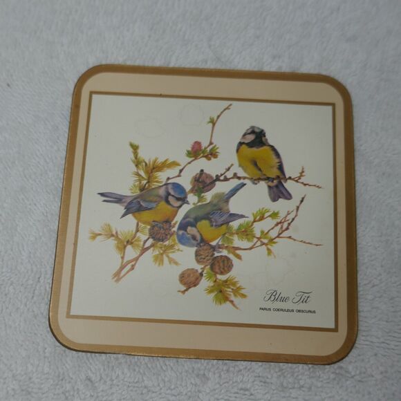 Pimpernel Coasters Set of 6 Cork Back European Birds 4x4 Original Box Vintage - Picture 2 of 11